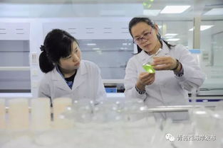 新区再添国家CNAS认证实验室，检验检测服务能力再上新台阶