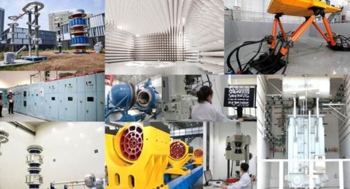 共建共享聚英才，创新服务赢未来 青岛海检集团荣获中国服务实践案例奖